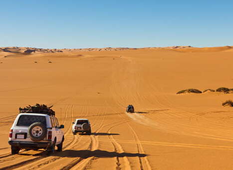 Desert Safari in Jaipur